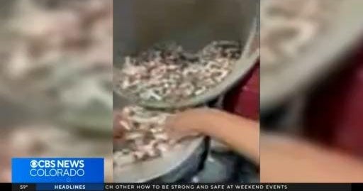 Colorado business pays debt with more than 3 tons of coins CBS Colorado