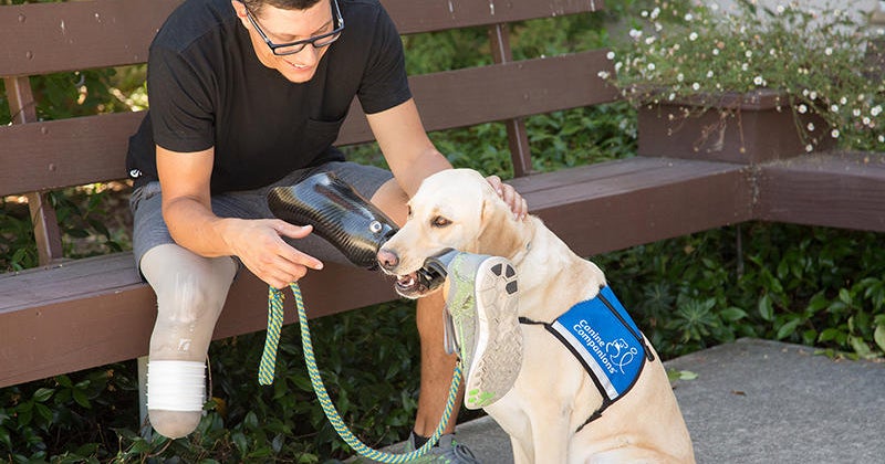 Nonprofit sees a growing need for service dogs for veterans struggling with PTSD Nonprofit sees a growing need for service dogs for veterans struggling with PTSD