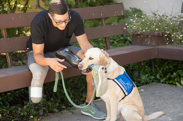 Watch CBS Evening News: Future service dog trains with New York