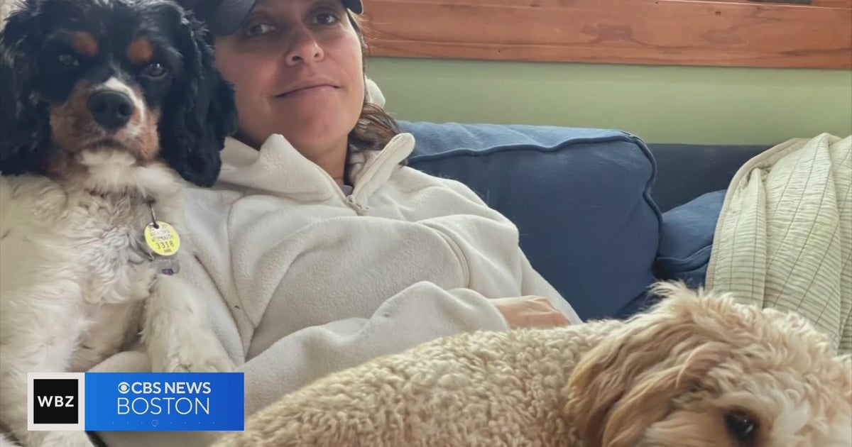 "I am devastated"; Weymouth woman loses pets in house fire after ...