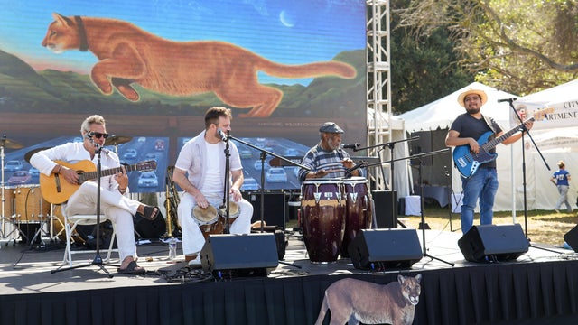 Communities From All Over Los Angeles Gather To Honor The Legacy Of P-22 Mountain Lion At The 8th P-22 Day Festival 