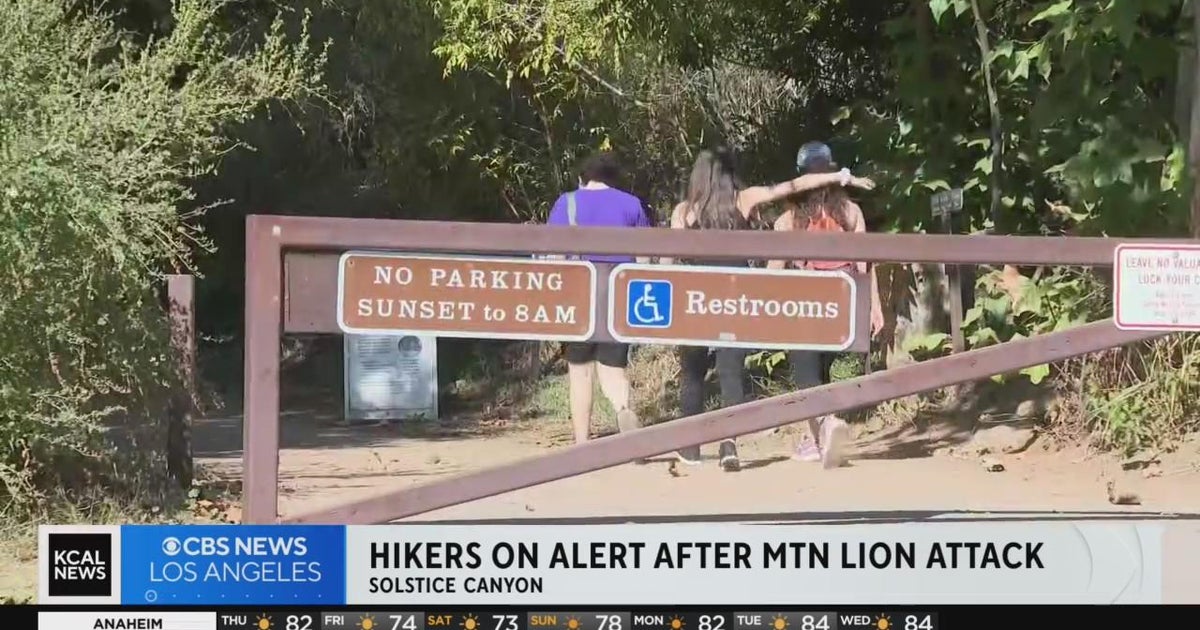Hikers remain on high alert after mountain lion attack in Santa Monica
