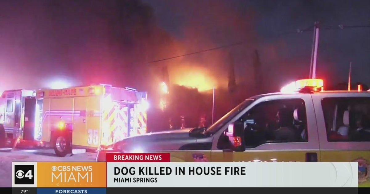 Canine died in Miami Springs residence fireplace Canine died in Miami Springs residence fireplace