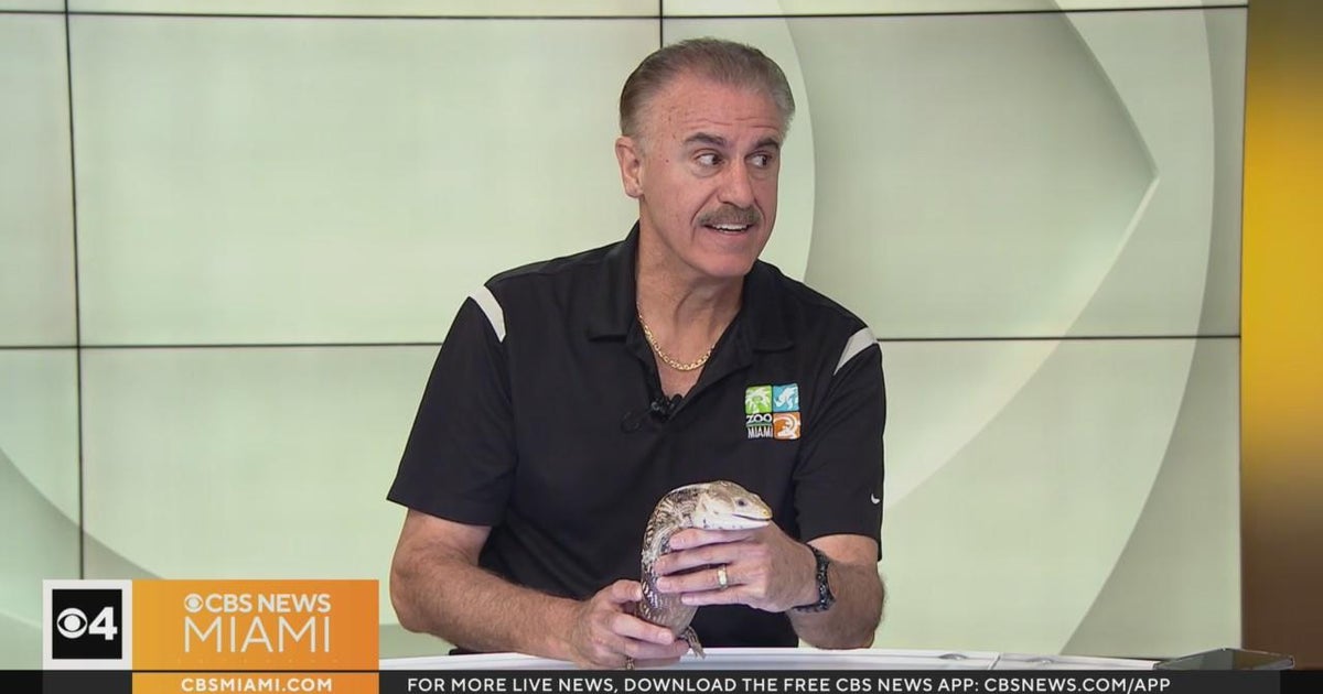 Zoo Miami to celebrate Halloween with Zoo Miami to celebrate Halloween with