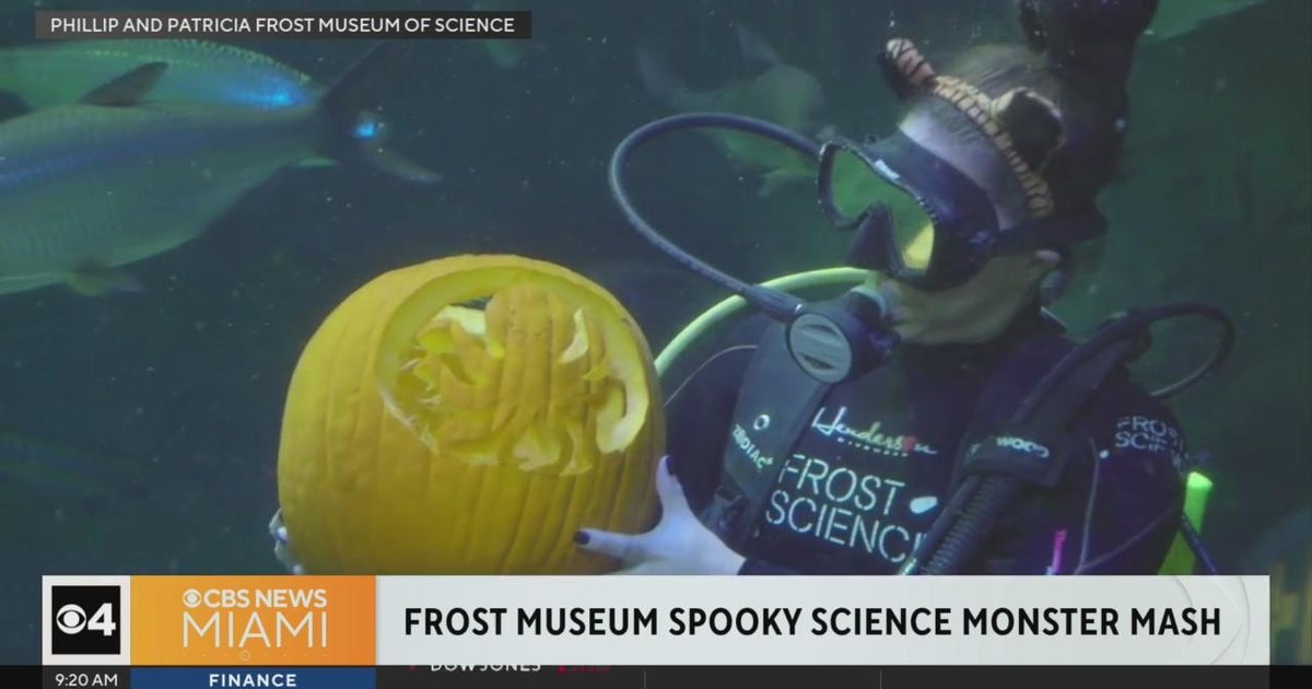 Spooky Science Monster Mash on Saturday at the Frost Museum of Science