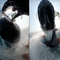 Video shows whale body-slam a surfer in Australia