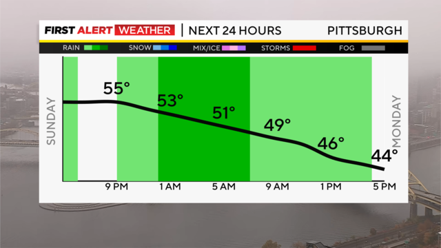 next-24-hours-temp-line-weather-bars-camera-1.png 