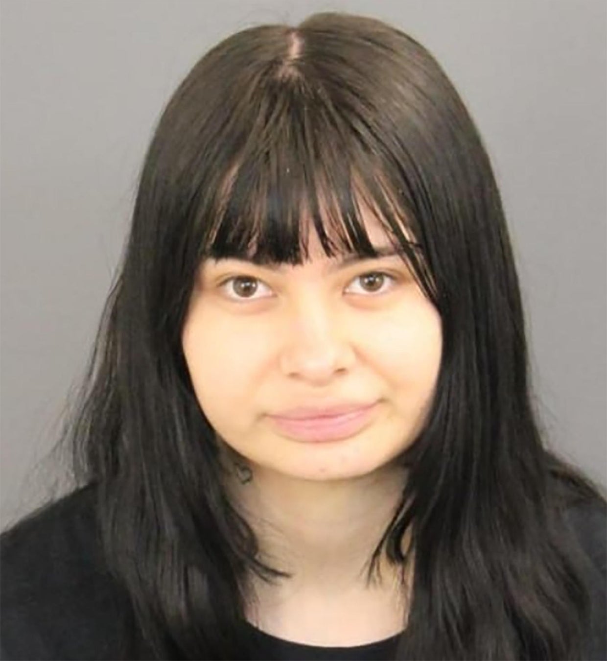 Teen pleads guilty in last year's shooting outside Dierks Bentley's