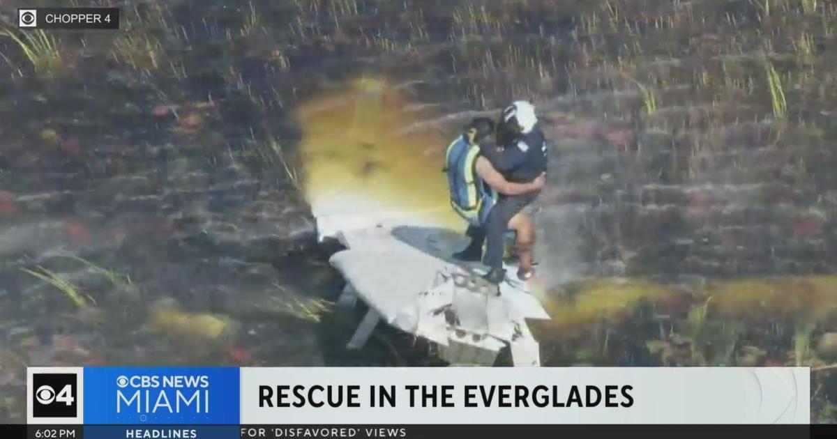 Pilot pulled from the Everglades after plane goes down CBS Miami