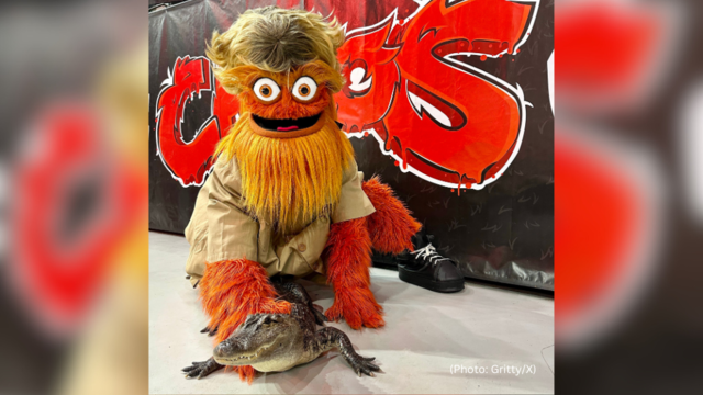 kdka-gritty-wally-alligator.png 