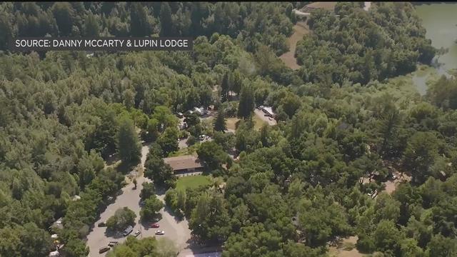 Lupin Lodge 