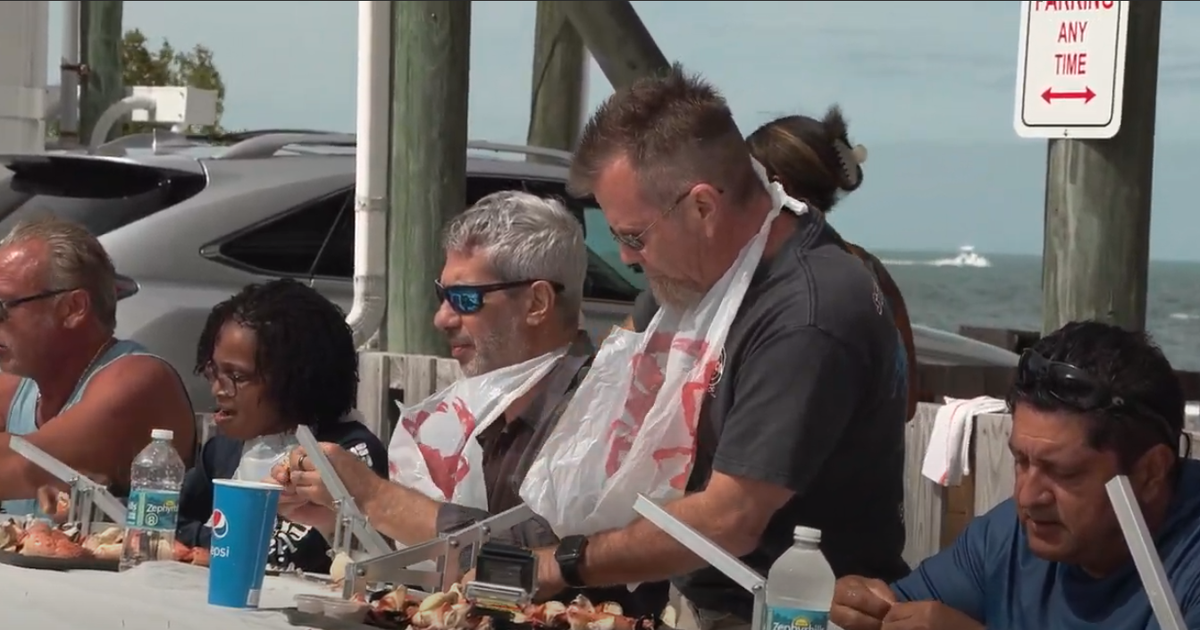 Chicago man sets new record at Florida Keys Stone Crab Eating Contest Chicago man sets new record at Florida Keys Stone Crab Eating Contest