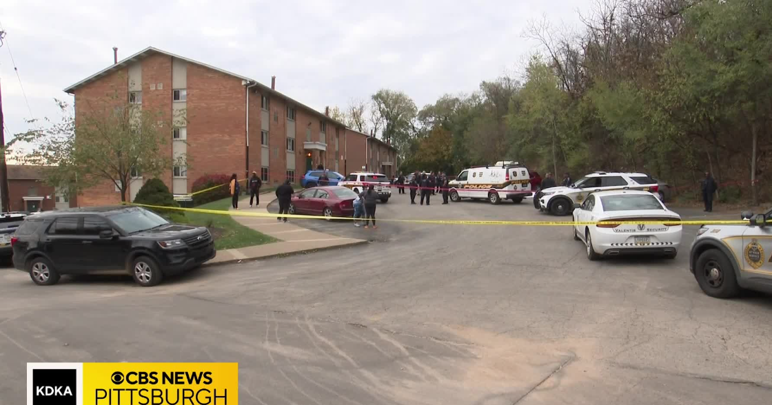 Man killed in shooting during domestic dispute in Pittsburgh ...