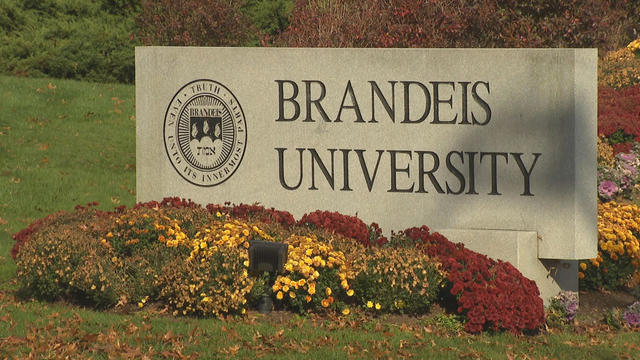 Brandeis University 