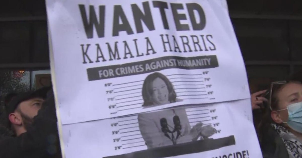 Large pro-Palestinian protest in Boston during VP Kamala Harris visit