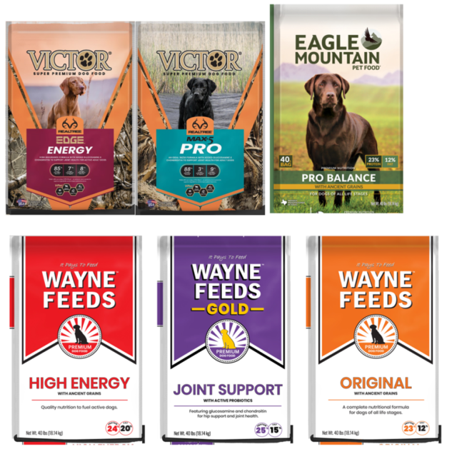 Super premium best sale dog food list