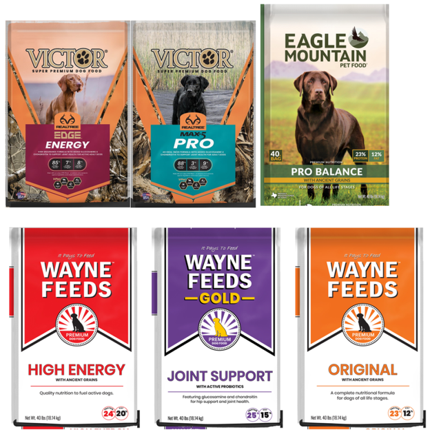 Dog food super clearance premium brands