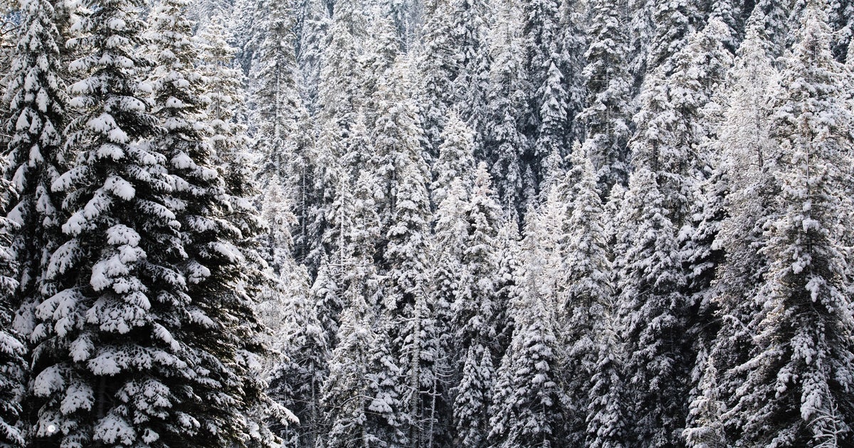 Employee killed in snowmobile accident at Lake Tahoe ski resort