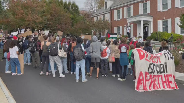 Tufts Palestinian protests 