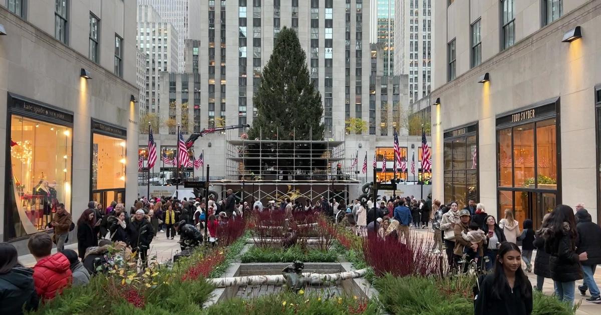 10 fascinating facts about NYC's 2023 Rockefeller Center Christmas tree