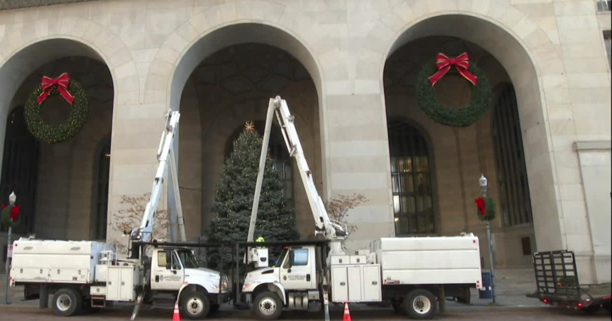 108th Pittsburgh Christmas tree installed outside City-County Building