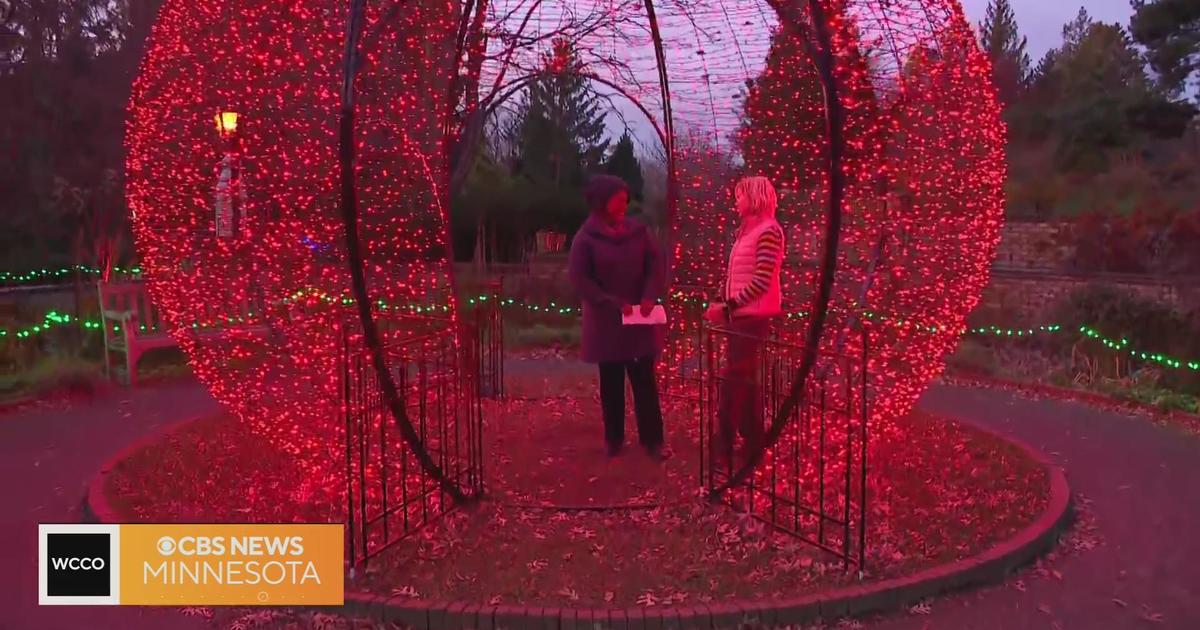 Enjoy Fresh Air, Festive Fun At Minnesota Landscape Arboretum's Winter ...