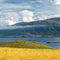 Viking ship remnants unearthed at burial mound in Norway
