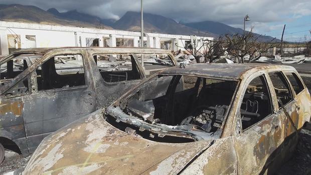 Cars burned during the Lahaina fire 