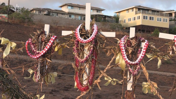 crosses in Hawaii