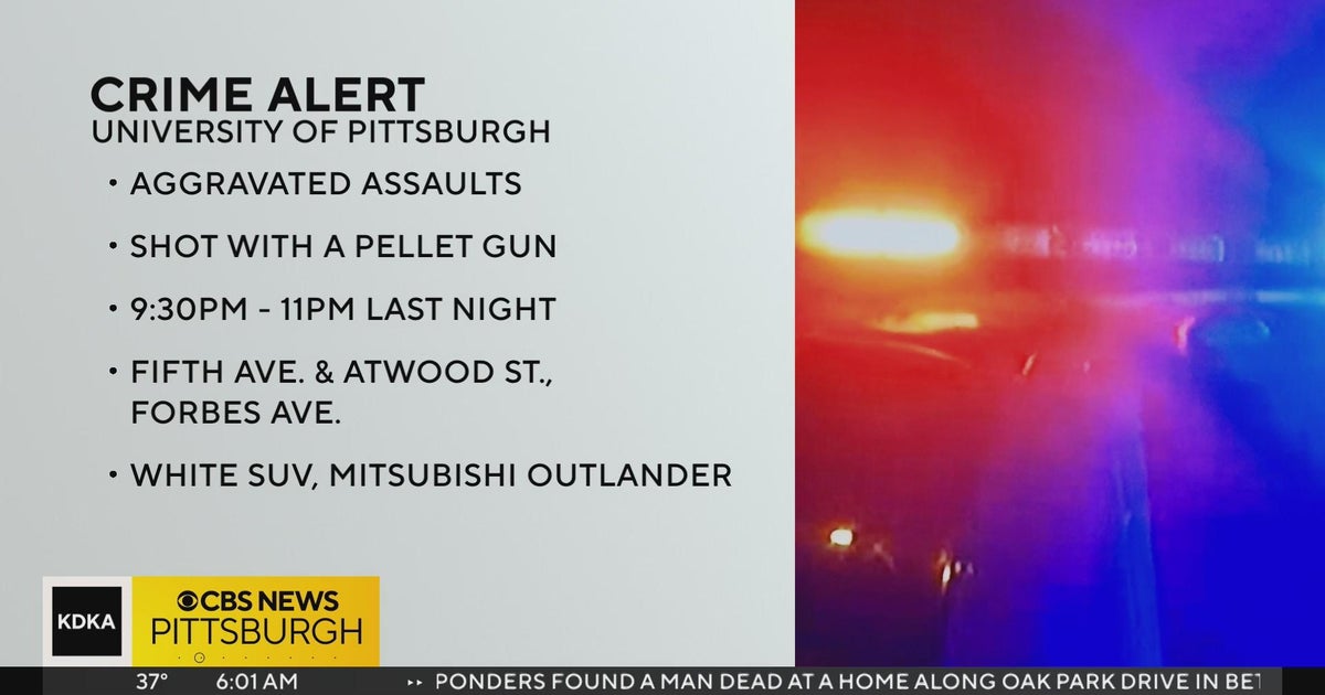Pitt Police probing pellet gun assaults - CBS Pittsburgh