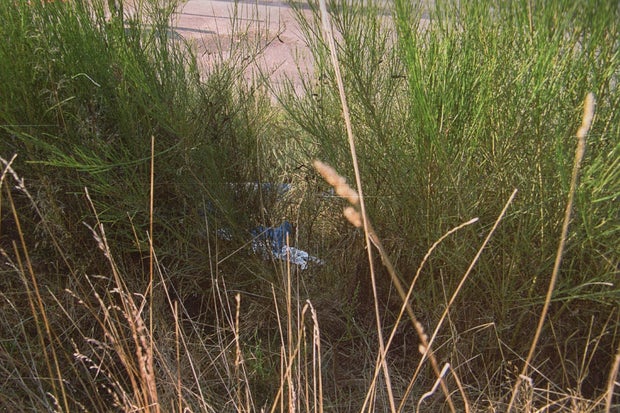 Sarah Yarborough crime scene