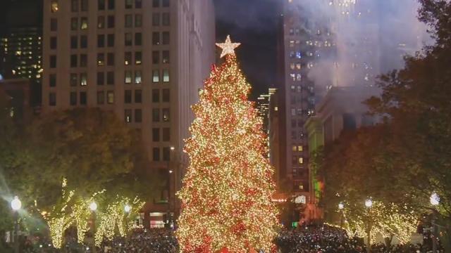 chicago-christmas-tree.jpg 