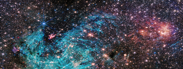 Cluster of protostars 