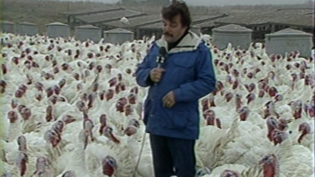 bob-wallace-turkey-farm.png 