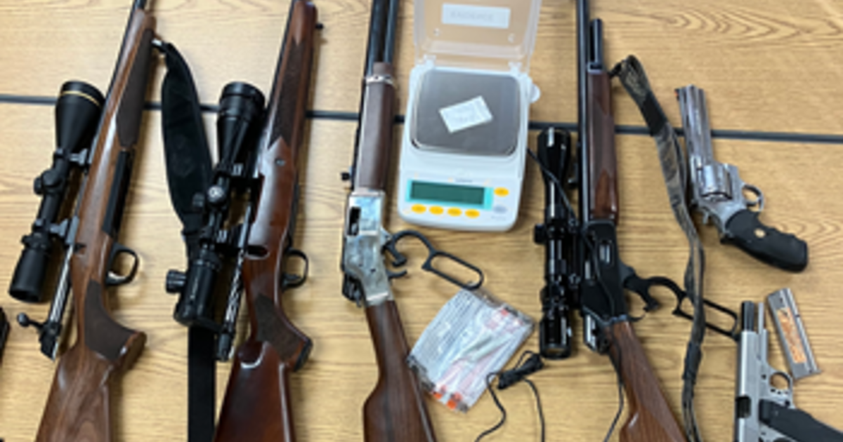 Michigan DNR officers seize cocaine, 6 illegal firearms from Oakland County men