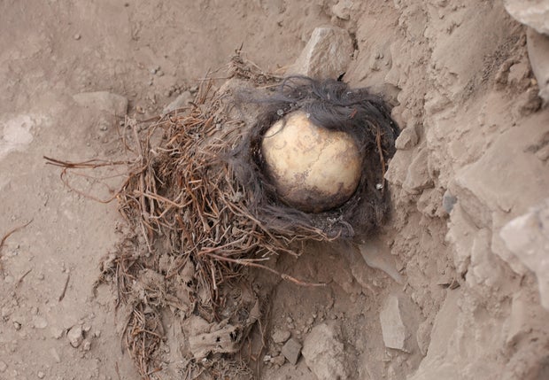 Archaeologists discover mummies of children that may be at least 1,000 years old - and their skulls still had hair on them