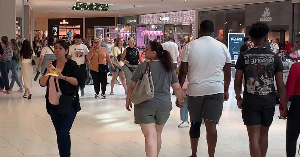 Purchasers consider advantage of Black Friday product sales at South Florida malls, shops