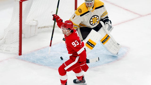 Red Wings Bruins Hockey