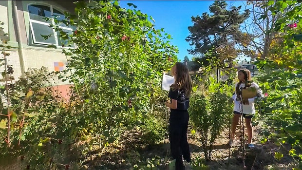 Miyawaki Forest in Berkeley