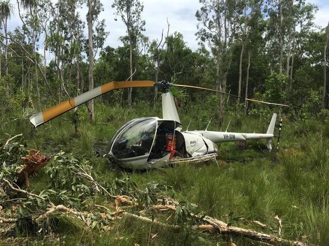 Chopper hanging out with Crocodile