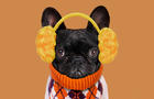 Funny dog with plush earmuffs 