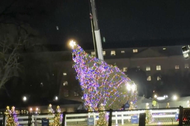 US White House Christmas Tree 