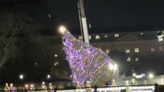 US White House Christmas Tree 