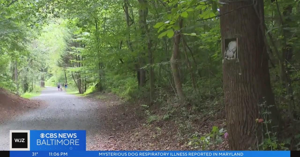 Rachel Morin investigation: Harford Co. begins installing security ...