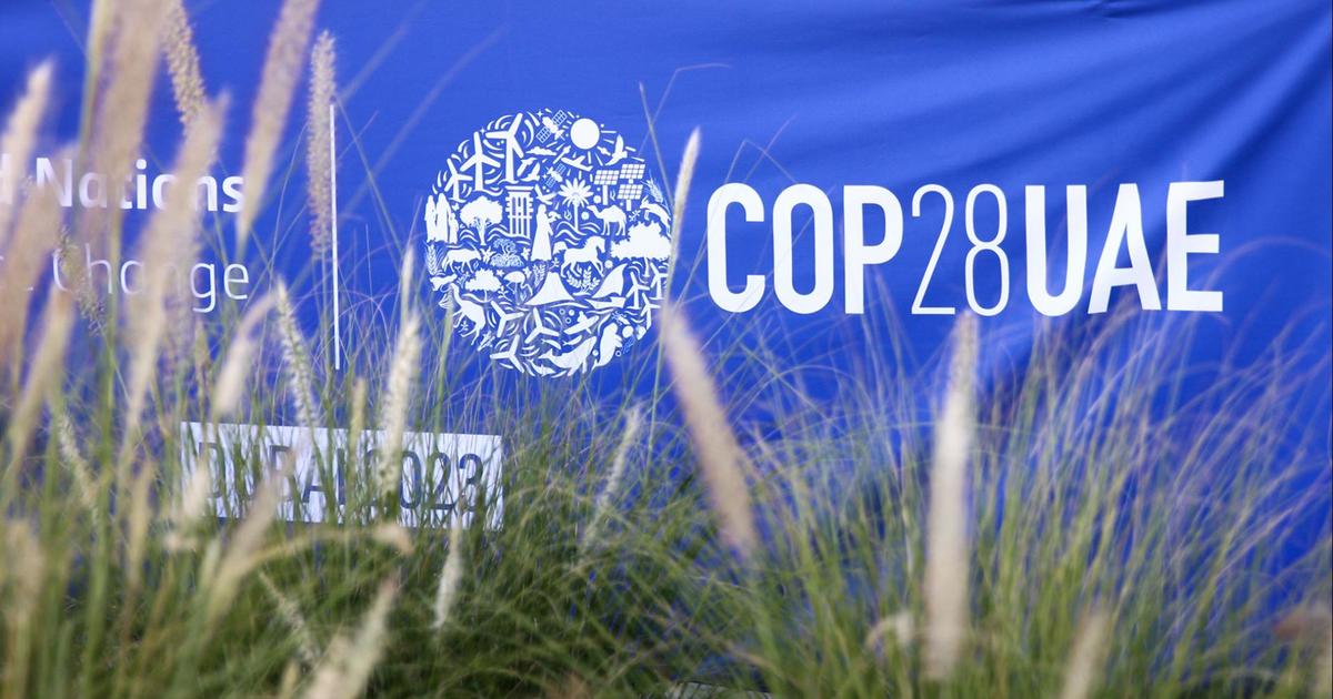 Д р Султан ал Джабер е президент на COP28 тазгодишната конференция