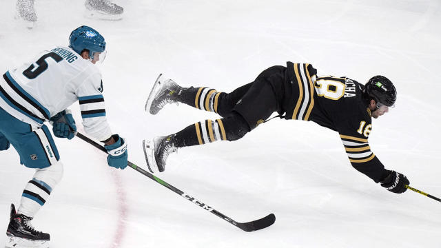 Sharks -  Bruins Hockey 