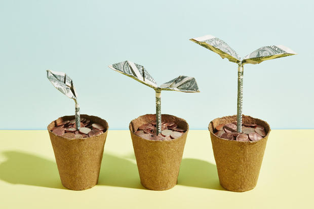 Origami dollar seedlings growing in flower pots full of coins 