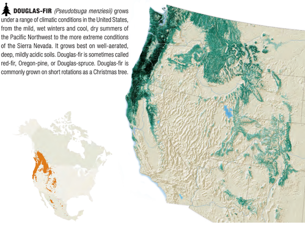 Two maps of the western continental U.S. show the range of the Douglas fir. One shows it growing most densely south along the Northwest coast into California and the other shows its full range into Canada.