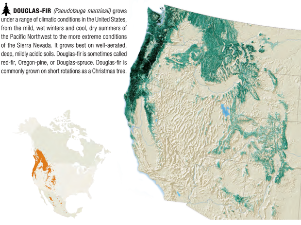 Two maps of the western continental U.S. show the range of the Douglas fir. One shows it growing most densely south along the Northwest coast into California and the other shows its full range into Canada. 