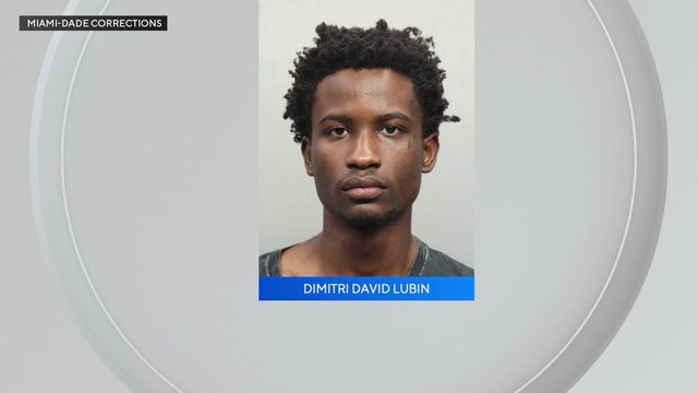 dimitri-david-lubin-mugshot.jpg 
